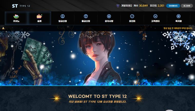 ST TYPE 12 데스크톱 화면
